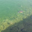 가평낚시터 이미지