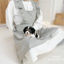(주)카발리에