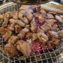 하늘돼지 이미지