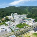 헬시버디 이미지