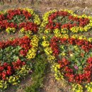 심부름행정사 이미지