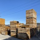 럭키산업 이미지