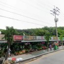 에이프럴다육식물원