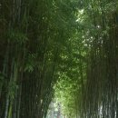 고성군청본관(4층) | 근심은 밖에 두고 오라