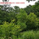 민다리길 이미지