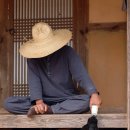 낙안 흑염소 이미지