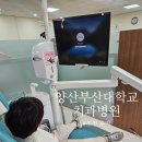 양산부산대학교치과병원 | 양산부산대학교 치과병원 5세 어린이 부정교합 초진 후기