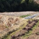 개곡리농장 이미지