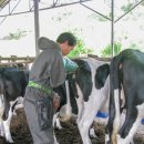 소번식경영아카데미 이미지