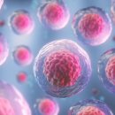 암 재활 이미지