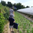 도현이네 농장 이미지