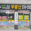 현대미소부동산 공인중개사사무소 이미지