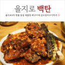 갑오징어짱 | 을지로3가 맛집 백탄 매콤한 뼈구이에 갑오징어구이 내돈내산 후기