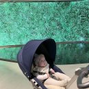 마일스톤소아청소년과의원 이미지