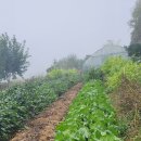 경빈농장 이미지