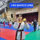 용인대 금곡 태권도 이미지