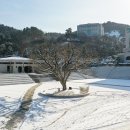 천주