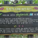 내곡동478 이미지