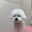 러브몽먼트 이미지