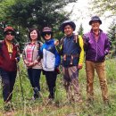 안심산 둘레길 이미지