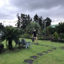 제주폴리폴리 이미지