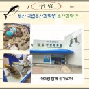 【HO.정보】아이와 함께 부산국립수산과학원 수산과학관 방문 후기