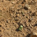 한구농장 이미지