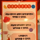 달콤왕가탕후루 동대구역점 네이버블로그