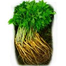 다울농장 이미지