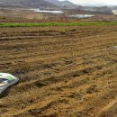 태희네 농장 이미지