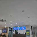 테마골프센터 | [골프] 78타석 시원한 전장, 일산 골프연습장 테마골프센터 인도어 솔직 후기