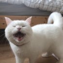 용신70 이미지