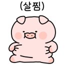 소답동251 이미지