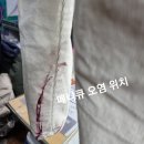 조 세탁소 이미지