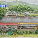 해바라기신발