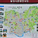 얼음골천마