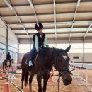 프리미어아레나승마클럽 이미지