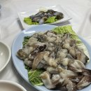 홍씨네회수산 | 홍성 남당항 새조개 샤브샤브 맛집 가격 재료소진 홍씨네회수산 내돈내산 후기