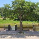 로맨틱533펜션&캠프 이미지