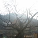 160021 | ^검단지맥<한남정맥(1/5)/000m/2015.03.08.일/1511