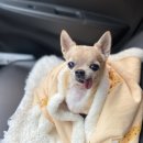 나인동물의료센터 이미지