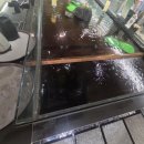 미소정원 | 센트럴시티 일상정원 미소된장샤브 후기 내돈내산