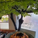도투리 샤브칼국수 불광천 | 서울3대샤브샤브 도투리 샤브칼국수 불광천 방문 후기