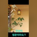 2022년 2월 15일 동안거해제 법문 노래 이미지