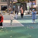 신체활동-무궁화 꽃이 피었습니다 (2025.11.17) 이미지