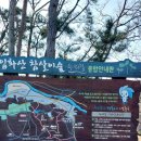 태화연 야영장 2 이미지