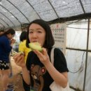 오장농장 네이버블로그
