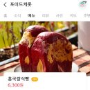 청주 대형카페 외곽카페 줄서는 빵집 블루리본 맛집 ‘포이드캐롯’ 갓나온 홍국쌀식빵 내돈내산 솔직후기