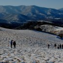 대관령목장 이미지