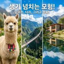 서울출발 강원도 당일치기 여행 코스 알파카월드 소금산 출렁다리 뮤지엄산 일일투어 후기